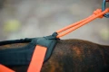 Rush-harness-black-orange-4511-4517-18-lifestyle.jpg.jpg