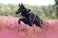 Line-harness-5.0-purple-2151-2158-60-lifestyle.jpg