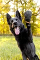 ProtectorBootie_1321-1326_18_lifestyle.jpg