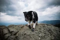 ProtectorBootie_1321-1326_06_Lifestyle.jpg