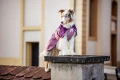 fjord-raincoat-2.0-mauve-29674-29687-30-lifetyle.jpg