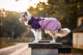 fjord-raincoat-2.0-mauve-29674-29687-33-lifetyle.jpg