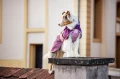 fjord-raincoat-2.0-mauve-29674-29687-31-lifetyle.jpg