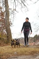 TouringBungeeDouble_BlackGray_16311_04_Lifestyle.jpg