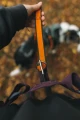 TrekkingBelt2.0_Purple_12231, 12241, 12251_04_Lifestyle.jpg