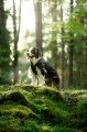 TrekkingRaincoat_Black_3273-3283_39_Lifestyle.webp