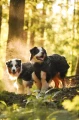 TrekkingRaincoat_Black_3273-3283_37_Lifestyle.webp