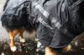 TrekkingRaincoat_Black_3273-3283_21_Lifestyle__282_29.webp