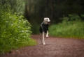 TrekkingRaincoat_Black_3273-3283_28_Lifestyle__281_29.webp