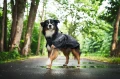TrekkingRaincoat_Black_3273-3283_23_Lifestyle__282_29.webp