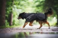 TrekkingRaincoat_Black_3273-3283_13_Lifestyle.jpg