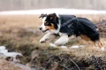 TrekkingRaincoat_Black_3273-3283_24_Lifestyle..jpg