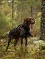 TrekkingRaincoat_3273-3283_46_Lifestyle_black.jpg