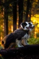 TrekkingRaincoat_Black_3273-3283_33_Lifestyle.jpg