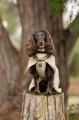 WoolJacket_Beige_3257-3267_04_Lifestyle.jpg