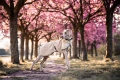 WoolJacket_Beige_3257-3267_08_Lifestyle.jpg