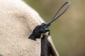 wool_dog_jacket_feature_sand_5_lifestyle (1).webp