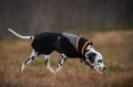 TrekkingFleeceJacket_orange_black_3430-3440-05-lifestyle..jpg