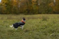 TrekkingFleeceJacket_orange_black_3430-3440-12-lifestyle.jpg