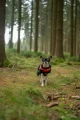 TrekkingFleeceJacket_orange_black_3430-3440-10-lifestyle.jpg