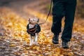 TrekkingFleeceJacket_orange_black_3430-3440-21-lifestyle.jpg