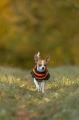 TrekkingFleeceJacket_orange_black_3430-3440-13-lifestyle.jpg