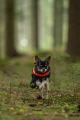 TrekkingFleeceJacket_orange_black_3430-3440-08-lifestyle.jpg