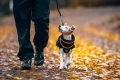 TrekkingFleeceJacket_orange_black_3430-3440-22-lifestyle.jpg