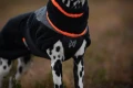 TrekkingFleeceJacket_orange_black_3430-3440-01_lifestyle.webp