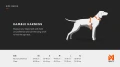 How-to-measure-sizechart5.webp