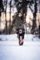 ProtectorBootieHigh_13213_13223_13233_13272_13282_13292_05_Lifestyle__281_29.webp