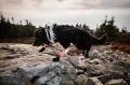 protector_bootie_high_lifestyle_1.webp