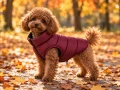 WAUDOG Re-clothes Burgundy