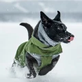 hurttawalkallseasonjacket_forest_aw26_61.jpg