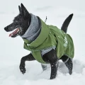 hurttawalkallseasonjacket_forest_aw26_62.jpg