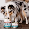 Karma mokra dla psa Wołowina z korzeniem pietruszki perro.webp