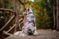 line-harness-5_0-rachel-pohl-edition_purple-pink_1614-1621-10_lifestyle.webp