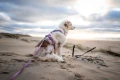 line-harness-5_0-rachel-pohl-edition_purple-pink_1614-1621-08_lifestyle.webp