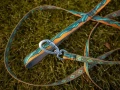2759-3_non-stop-dogwear-trail-quest-leash-rachel-pohl-edition.webp