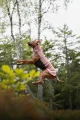 1792683657__1792683625174-dsc04591_web__original.webp