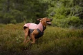 1792683660__1792683625174-dsc05379_web__original.webp