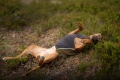 1792683483__1792683467877-dsc05318_web__original.webp