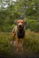 1792683482__1792683467877-dsc03884_web__original.webp