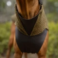 Polar-Olive8.webp