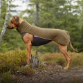 Polar-Olive5.webp