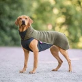 Polar_Olive1.webp
