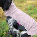 Jumppa_Elderberry4.webp