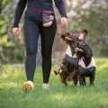TreatBag4.webp