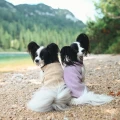 Jumppa-Sand-Elderberry1.webp