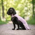 Jumppa_Elderberry3.webp